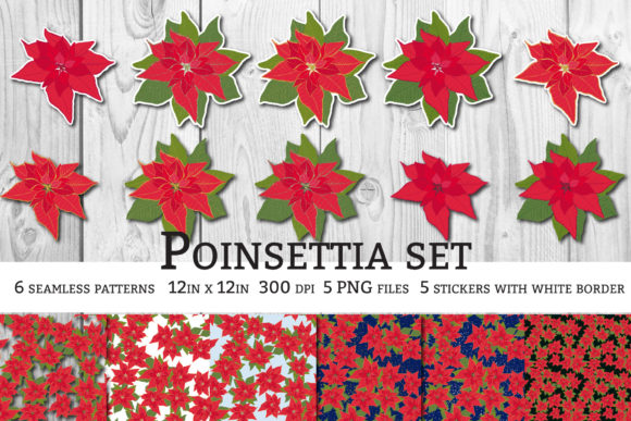 Christmas Flower Poinsettia Set Illustrations