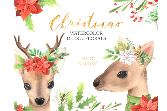 Watercolor Christmas Deer Florals Illustrations